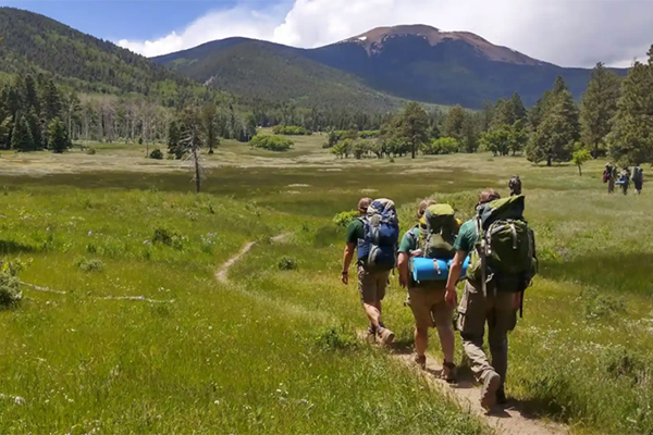 Group of Boy Scouts on a hike
