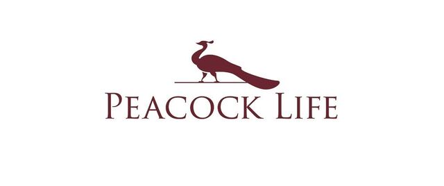 Peacock Life peacock logo