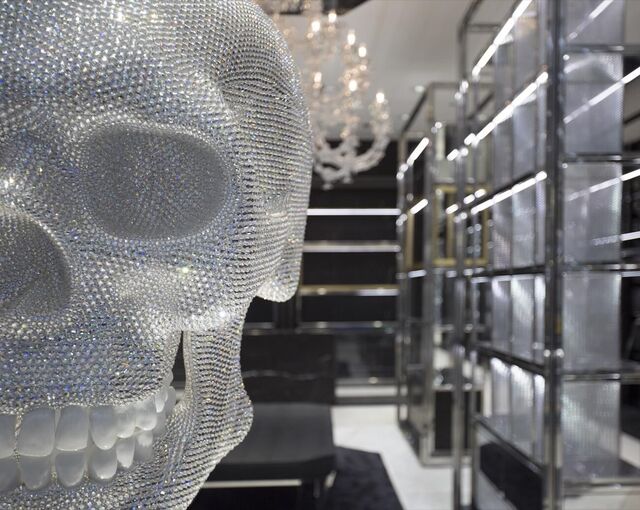 Fancy crystal skull